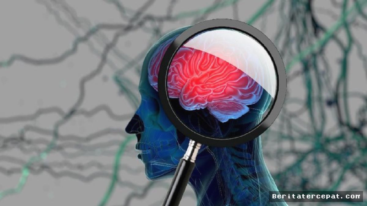 JAKARTA — Pola Makan Antiinflamasi Terbukti Turunkan Risiko Demensia