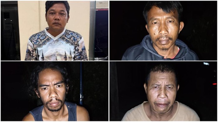 Fakta Terbaru Asal-usul Tapir yang Tewas Dimasak Warga Lampung Jadi Rica-rica