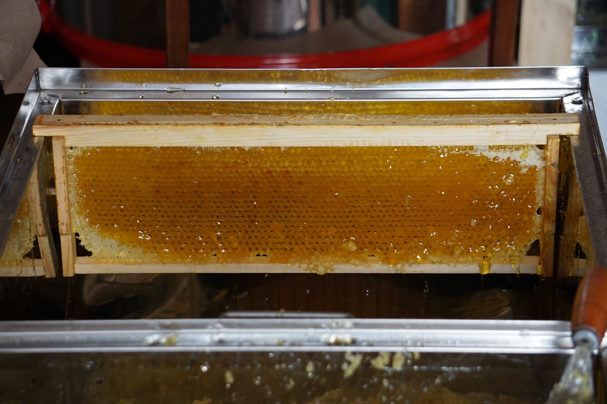 Metode Pengolahan Kopi Natural, Washed, Honey Process: Kunci Cita Rasa Kopi Indonesia