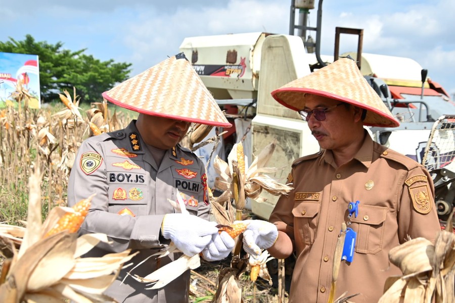 Polda Riau Panen Jagung 4 Hektare Dukung Swasembada Pangan