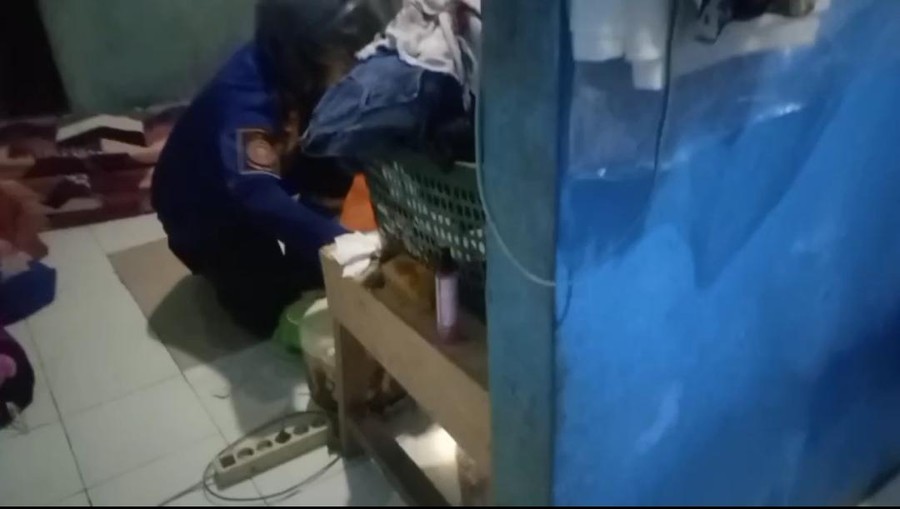 malam Ular Kobra Masuk ke Kamar, Warga Bogor Panggil Damkar