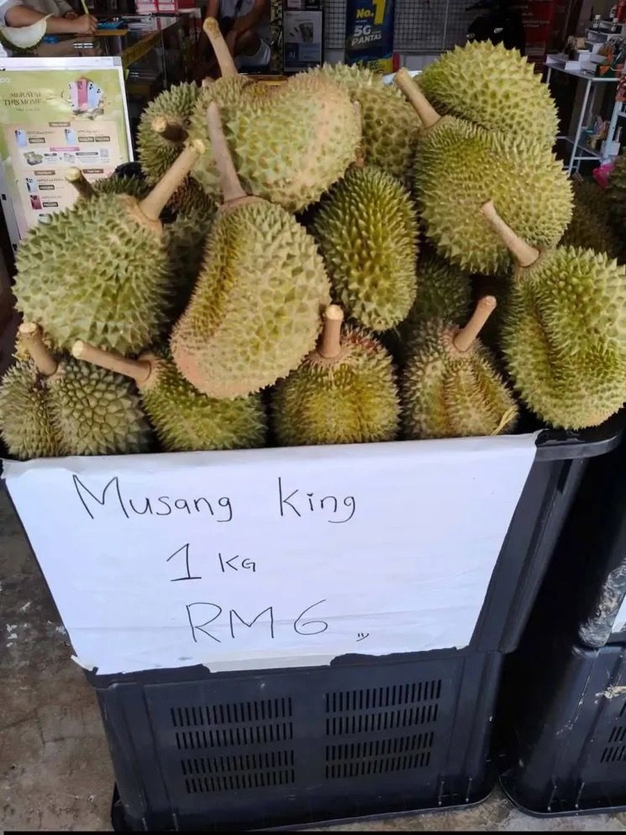 Durian Musang King Turun Harga di Malaysia, Sebiji Cuma Rp 22 Ribu!