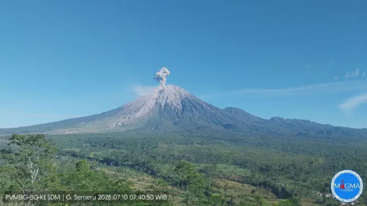 Gunung Semeru Erupsi Kuat Pagi Ini, Kolom Abu Vulkanik Mencapai 1.500 Meter