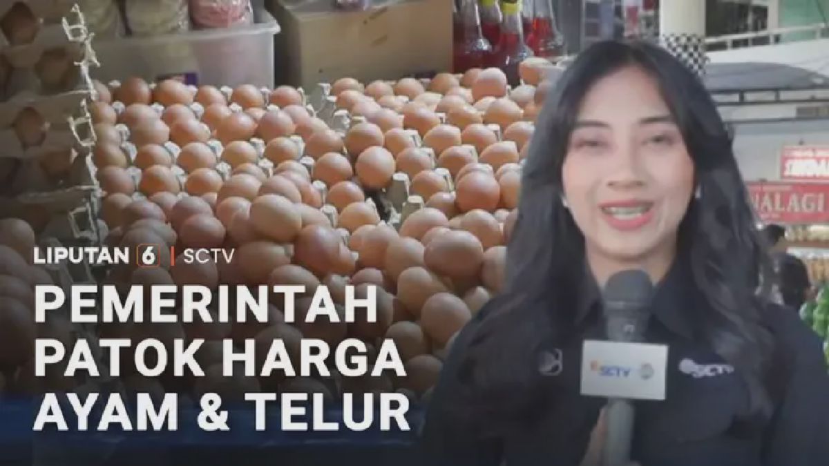 Pemerintah Tetapkan Harga Acuan Ayam Hidup Rp19.500 dan Telur Rp24.000