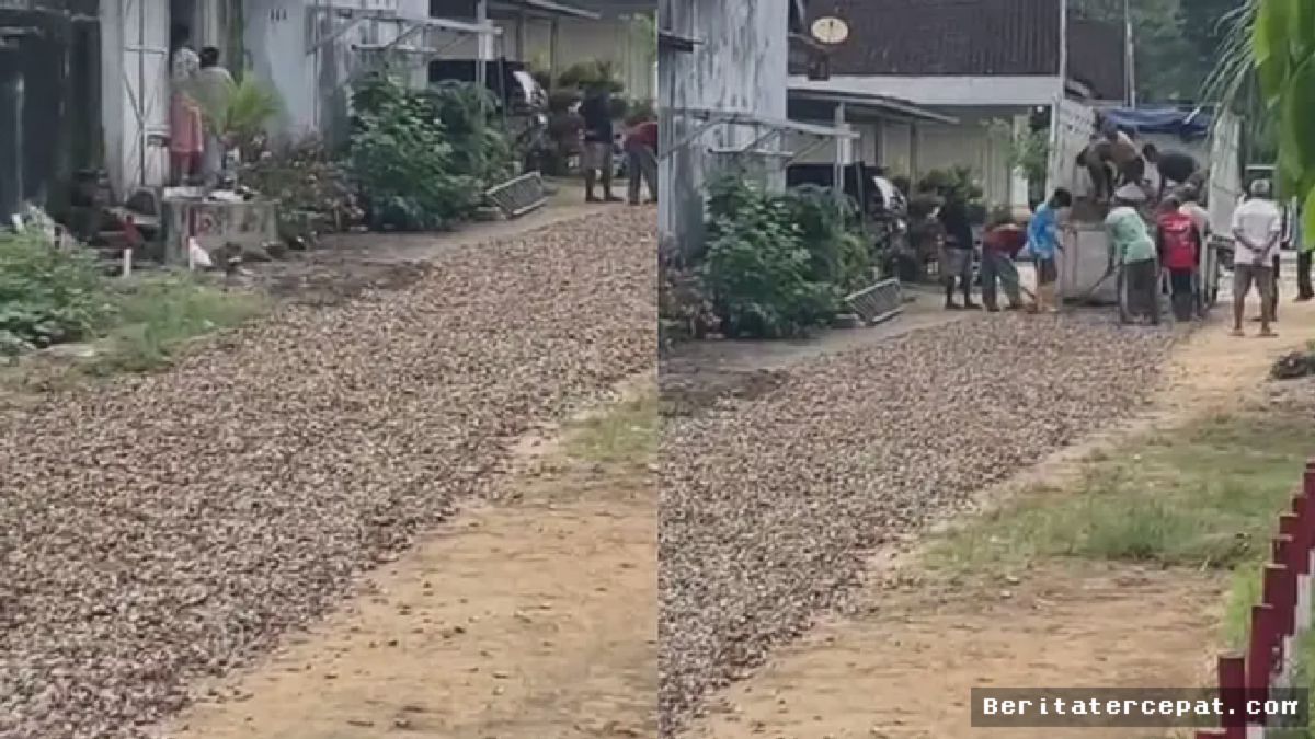 Viral! Warga di Lampung Timur Tambal Jalan Rusak Pakai Cangkang Kerang, Alasannya Bikin Salut