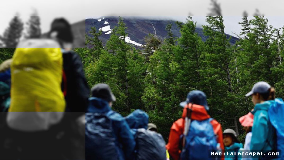 GUNUNG DAISETSUZAN — Beruang Cokelat Hadang Jalur, 4 Pendaki Dievakuasi Helikopter