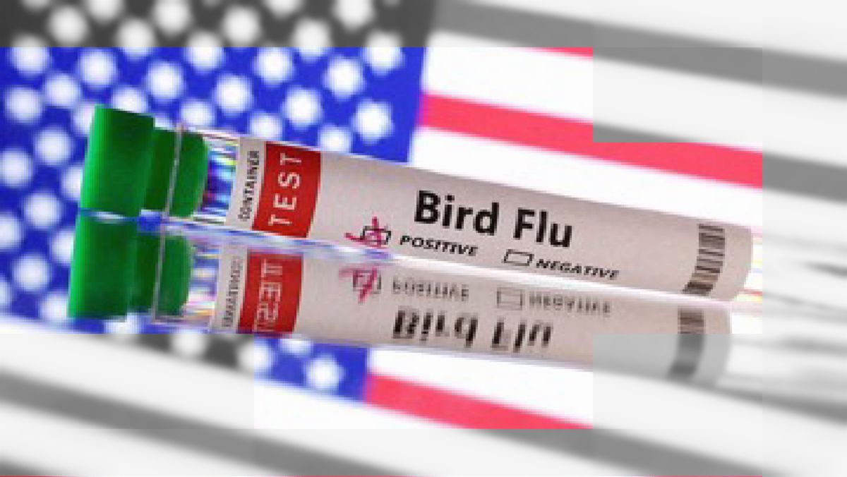 Filipina Konfirmasi Wabah Flu Burung H5N1 di Unggas Rumahan