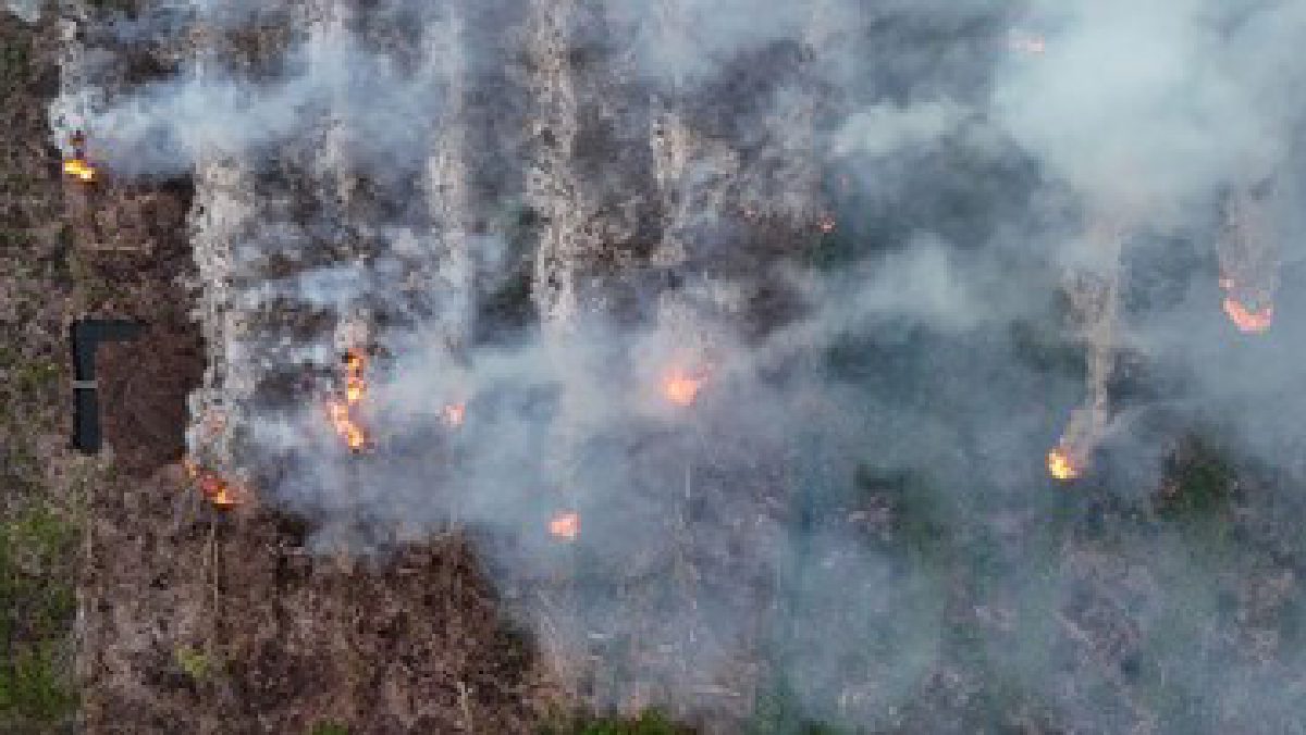 306 Karhutla Melanda Sumsel per Juli 2026, PALI Paling Kritis