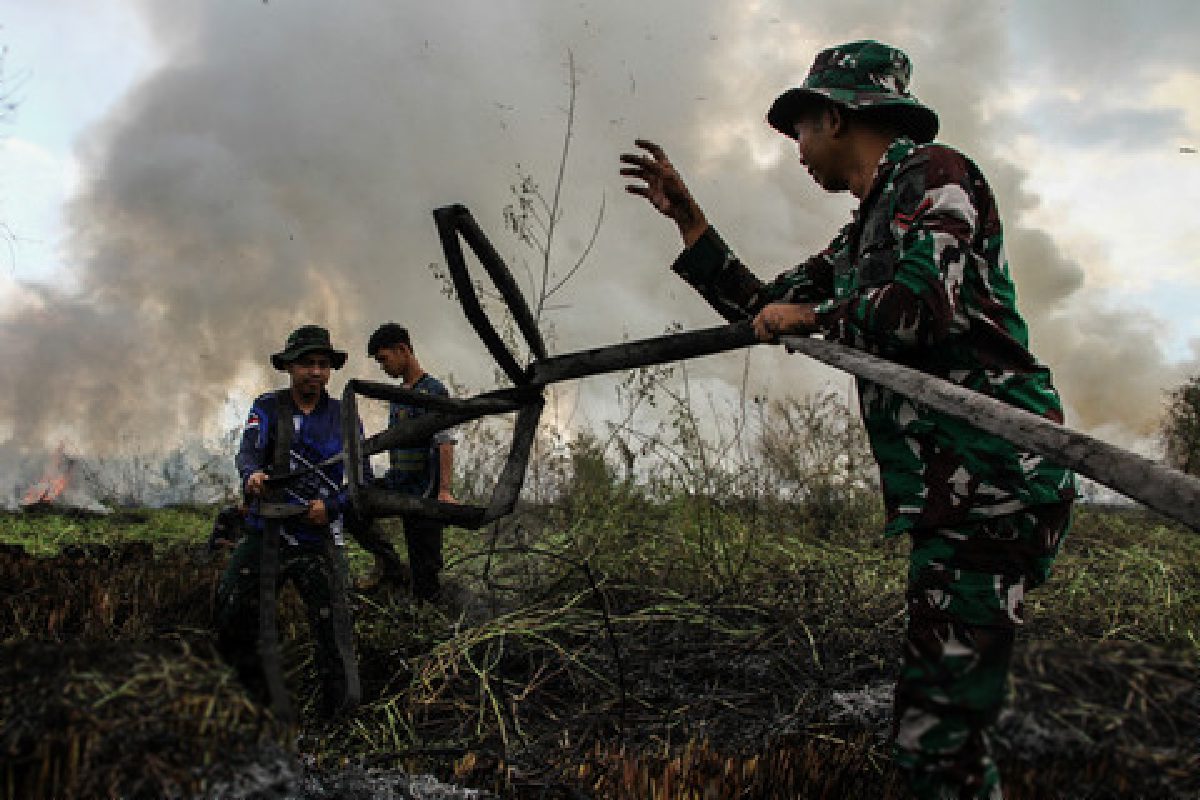 BREAKING: Palangka Raya Terbakar, Lahan Gambut Dilalap Api