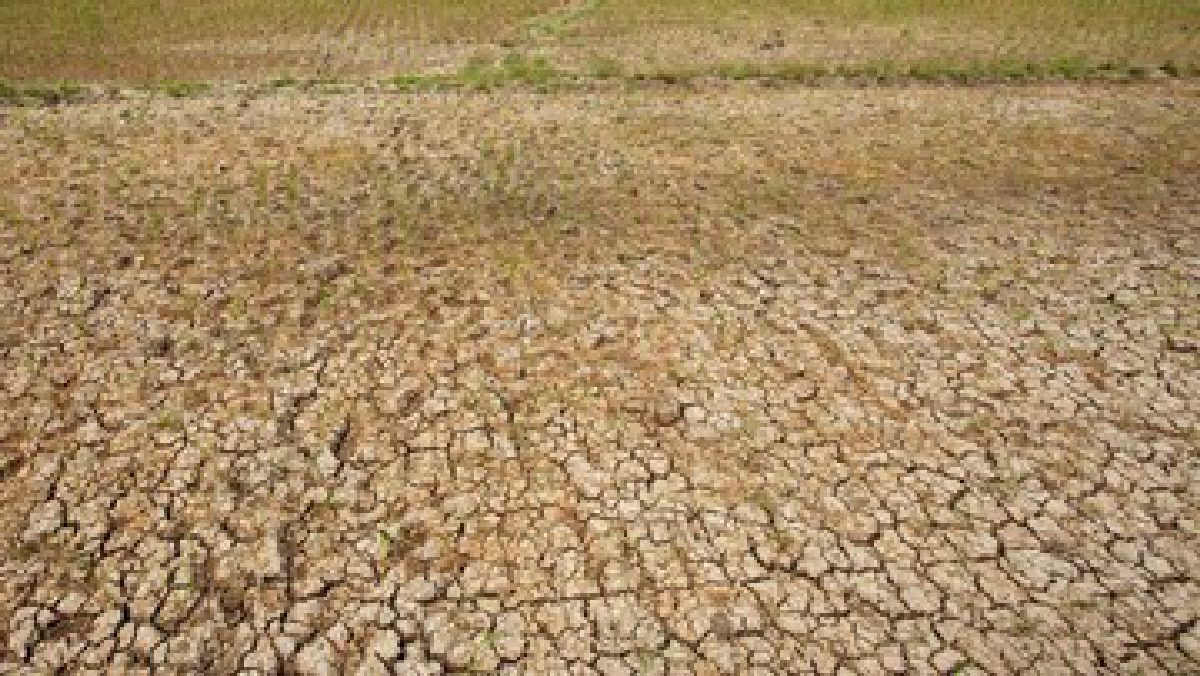 Sawah Terancam Kering, Pemprov Banten Kerahkan Ratusan Pompa Air