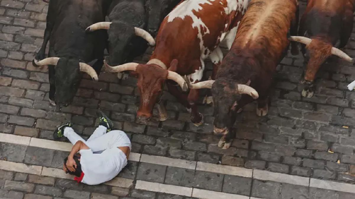 Peserta Tersungkur di Depan Banteng Aduan Saat San Fermin